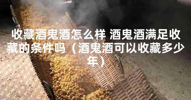 收藏酒鬼酒怎么样 酒鬼酒满足收藏的条件吗（酒鬼酒可以收藏多少年）